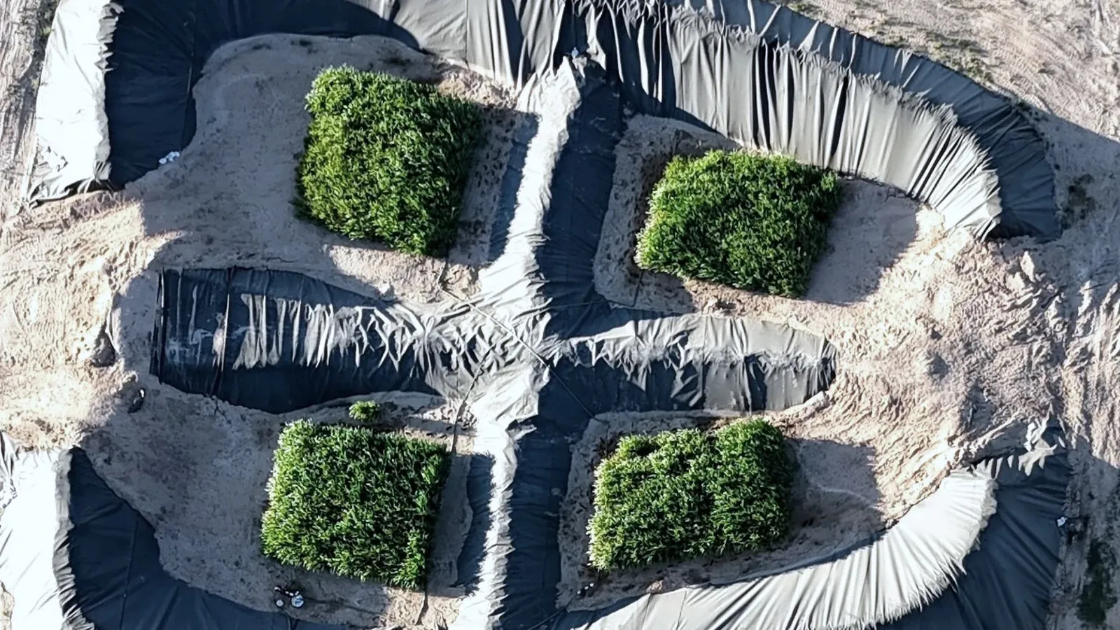 Aerial photograph of the Permian project: four plots of green crops growing on lined containment, irrigated with treated produced water.